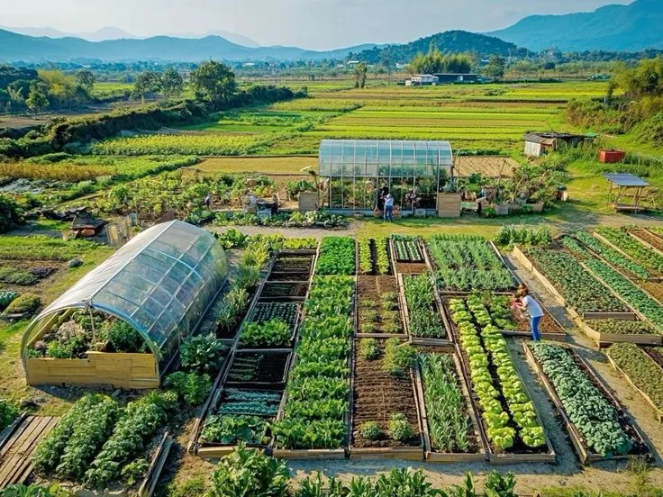 PLTS untuk perkebunan dan pertanian